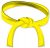 Hapkido-Yellow-belt-6th-kup