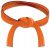hapkido-orange-belt-7th-kup